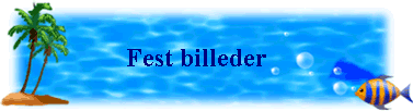 Fest billeder