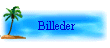 Billeder