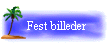 Fest billeder